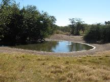 pan khama rhino safari