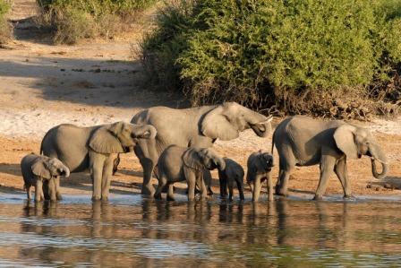 botswana budget tour