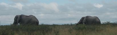 makgadikgadi pans